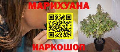 прущие крисы Свободный