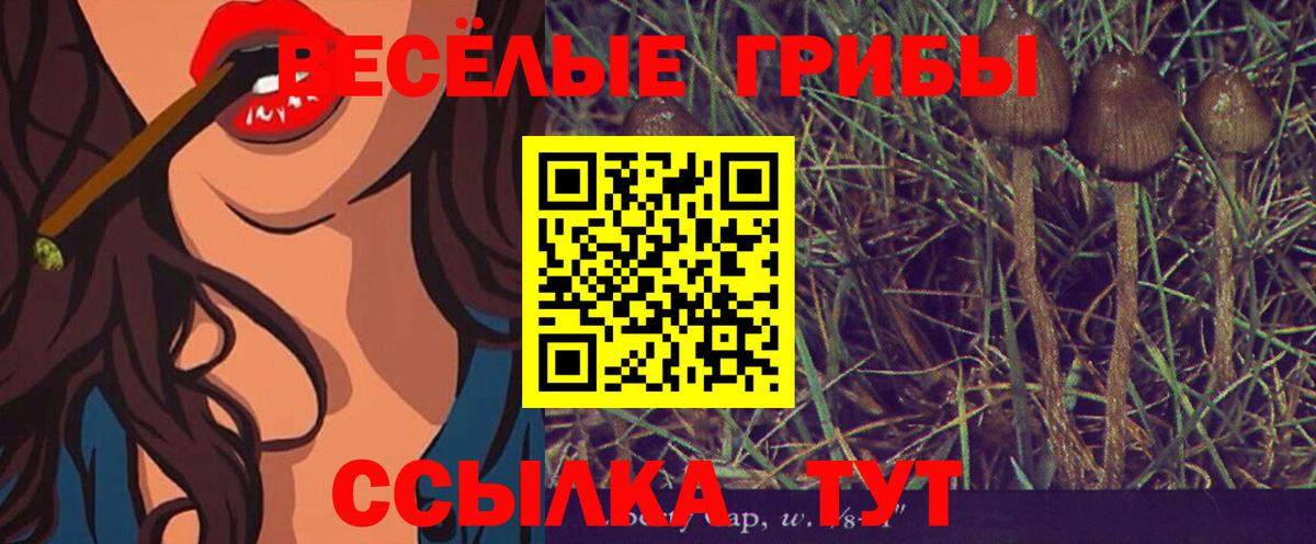 Галлюциногенные грибы GOLDEN TEACHER  Вход с VPN  Новокубанск 