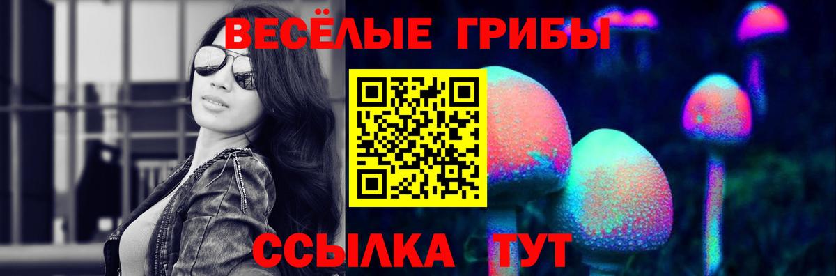 Галлюциногенные грибы мухоморы Новокубанск